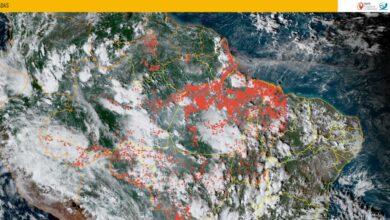 Imagem mostra queimadas no Pará. Imagem: Reprodução